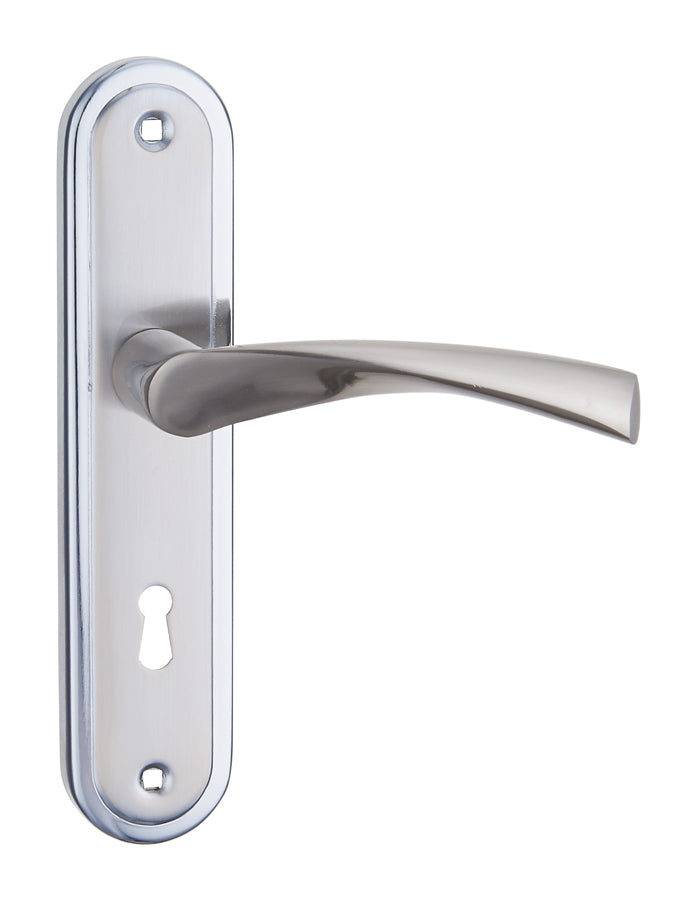 Apollo Silver Backplate Handle