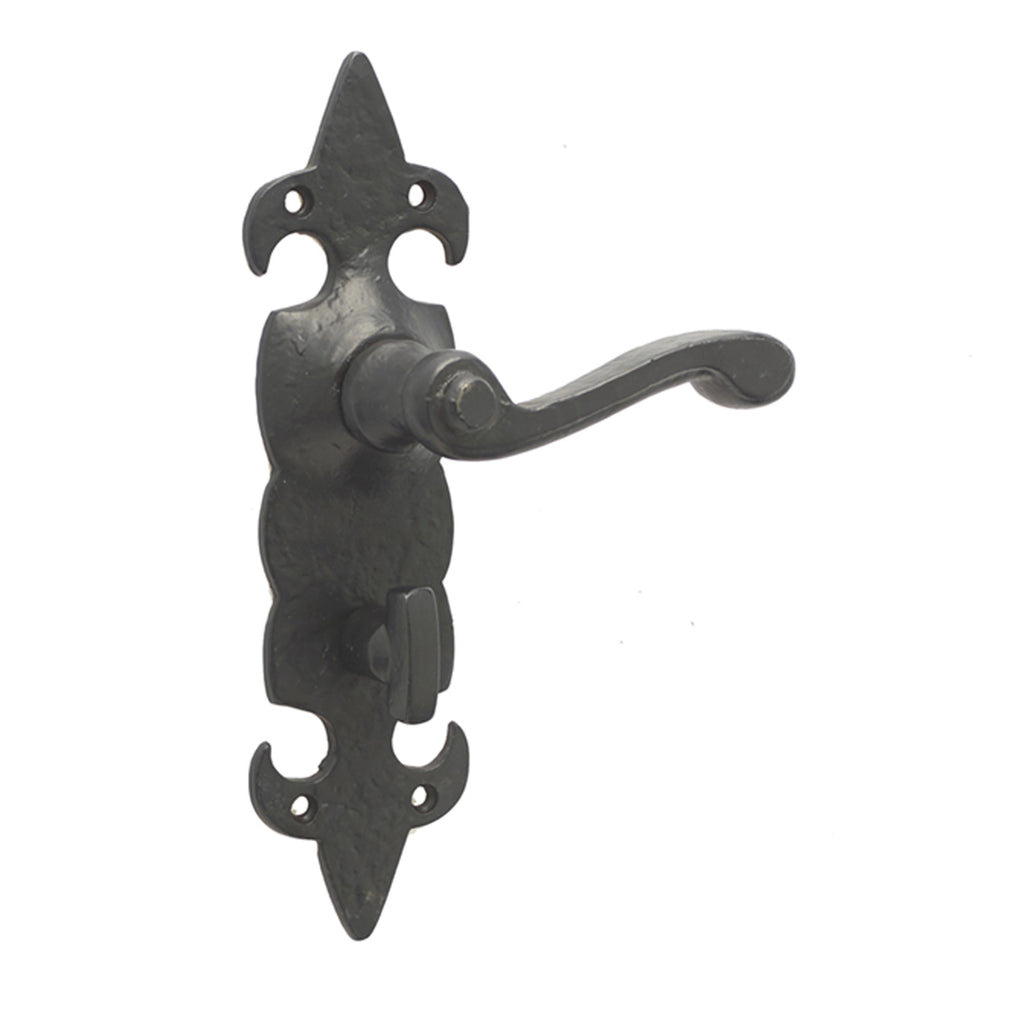 A FDL Black backplate wc bathroom door handle on a white background.