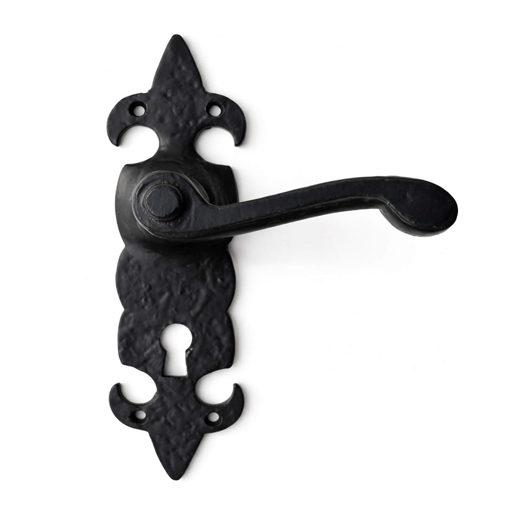 A FDL Black backplate lock door handle on a white background
