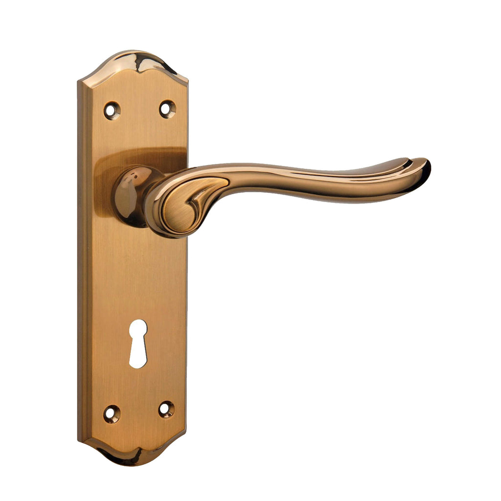 Monet Bright Coffee & Coffee Brushed Lock Backplate Handle on a white background