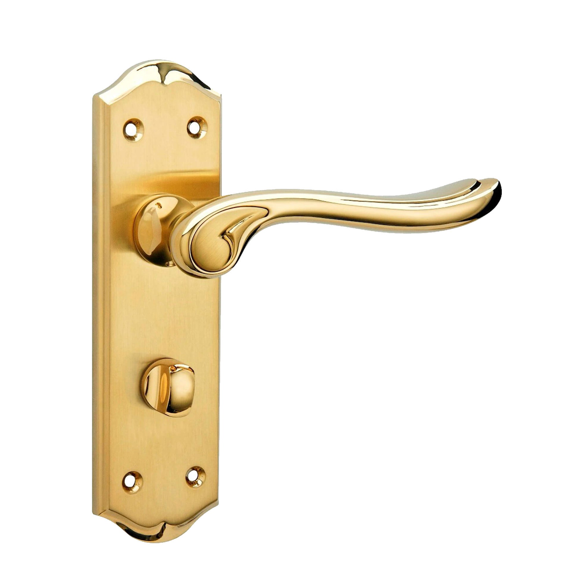 Monet PVD Brass Bathroom WC Backplate Handle on a white background